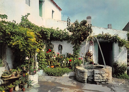 Ile oleron - 17-ile, d
