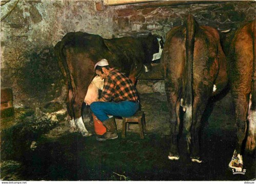 Carte postale animaux - carte,