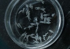 Tgauge T Scale 40x figurine