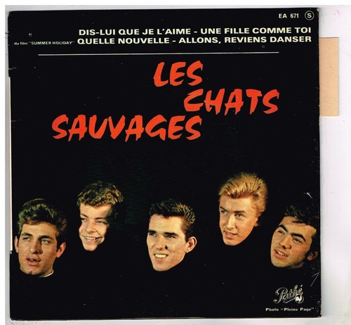 Les chats sauvages - les, lui