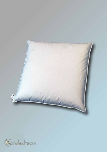 Coussin 70 plumes - 80, x