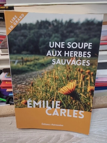 Une soupe aux herbes - , sauvages