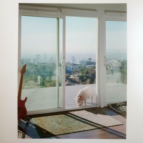 Alec soth photo signée - soth,