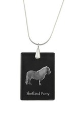 Poney Shetland collier en