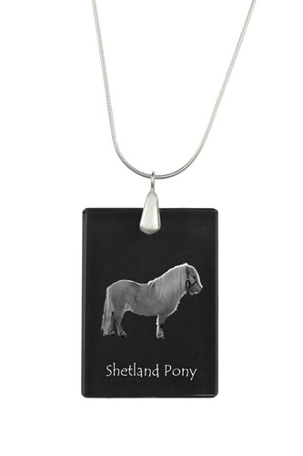 Poney shetland collier - poney, en