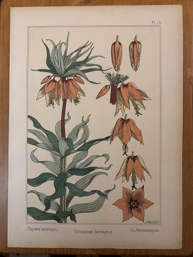 Eugène grasset couronne - eugène,