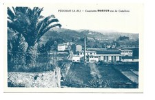 06  PEGOMAS  COOPERATIVE