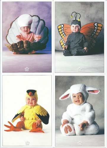 Cartes postale tom arma - cartes,