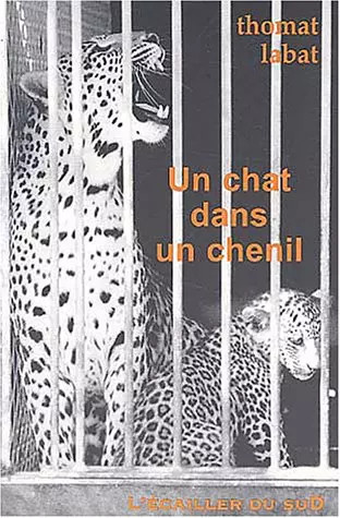 Chat dans chenil - chat, thomas