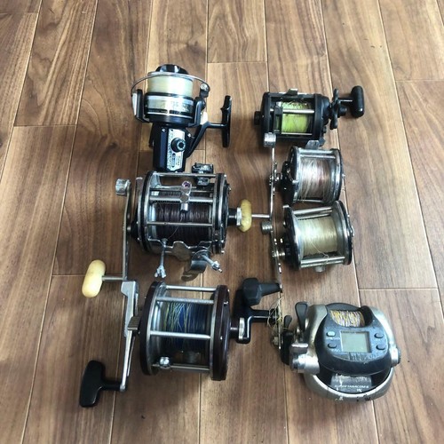 Daiwa penn fishing reels - fishing,