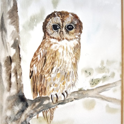 Chouette hulotte aquarelle - chouette,