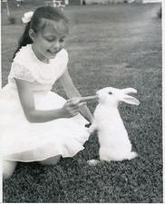 Fillette et Lapin c. 1950 - GF