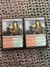 Carte Magic Aux Portes Des Éternités : Terrain De Prédiction x2 VF Mint