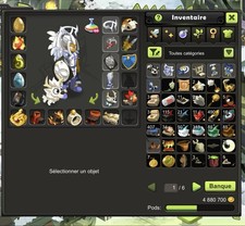 Compte Dofus Touch Serveur