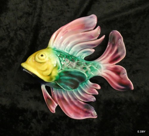 Grand beau poisson - grand,