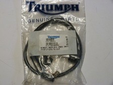 Triumph original T2500164