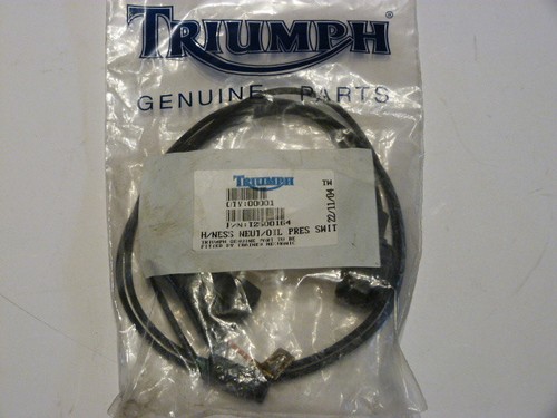 Triumph original t2500164 - triumph,
