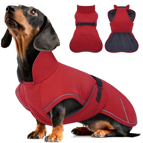 Manteau chien manteaux - manteau,