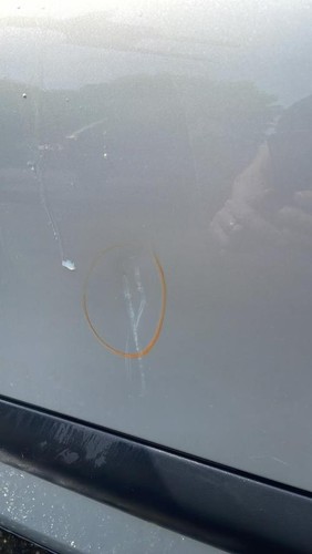 Porte avant gauche - , renault