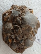 Très beau mélange de