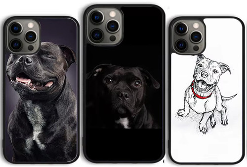 Staffordshire bull terrier - bull,