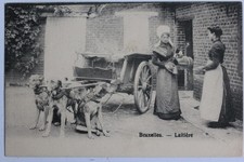 CPA Belgique Bruxelles Laitière Attelage de chiens (53639)