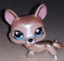 Petshop chien corgi 871