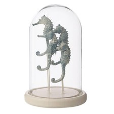 Cloche Déco en Verre
