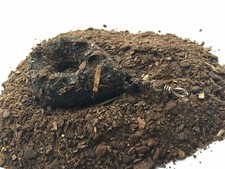 15 Plombs Carpe gripp 145 g