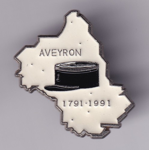 Rare pins pin - pin's, gendarmerie