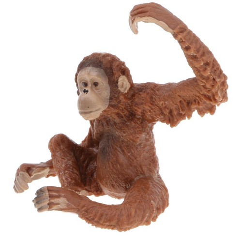 Plastique modèle animal - en,