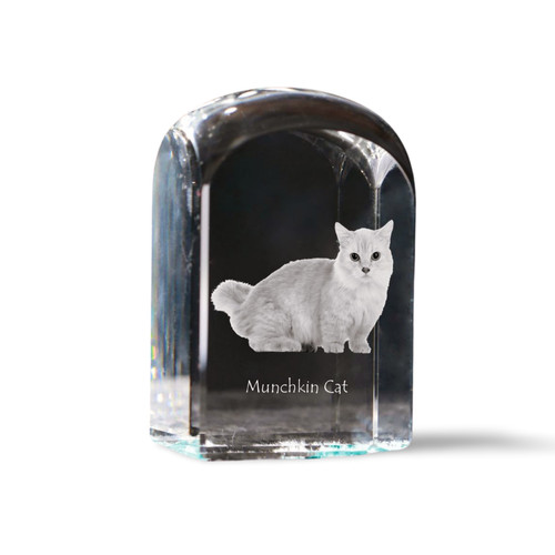 Chat munchkin cristal - munchkin, tampon