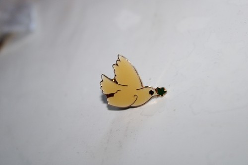 Pins colombe blanche rameaux - pins,
