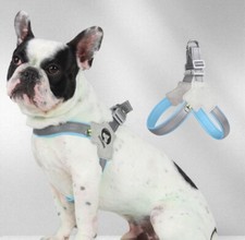 Harnais Chien Sangle De Poitrine Bouledogue Français Accessoires Chiot Ou Animal