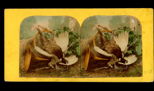 Nature morte avec faisan - morte,