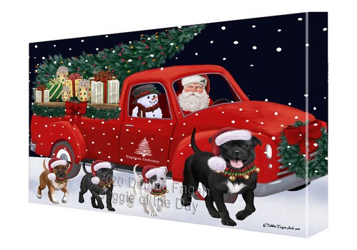 Staffordshire bull terrier - bull,