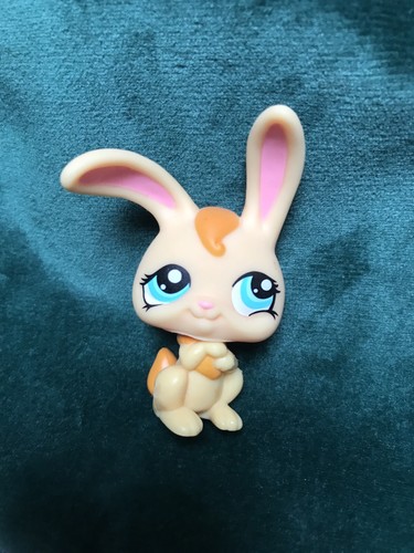 Petshop lapin garenne - lapin,