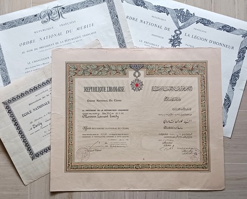 Diplômes cèdre liban - cèdre,