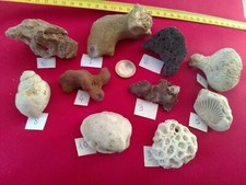 Fossiles - Minéraux - LOT de 10 - France -  INDRE Région Naturelle de la Brenne