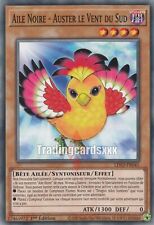 Yu-Gi-Oh! Aile Noire - Auster le Vent du Sud : C LDS2-FR041