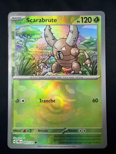 Carte pokémon scarabrute - carte,