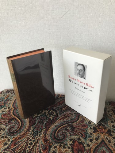 Pléiade rainer - ,