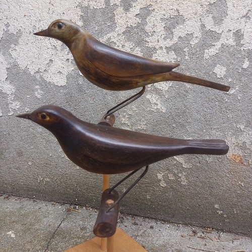 Grives appelant bois - 2x,