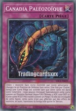Yu-Gi-Oh! Canadia Paléozoïque : C SDCS-FR039
