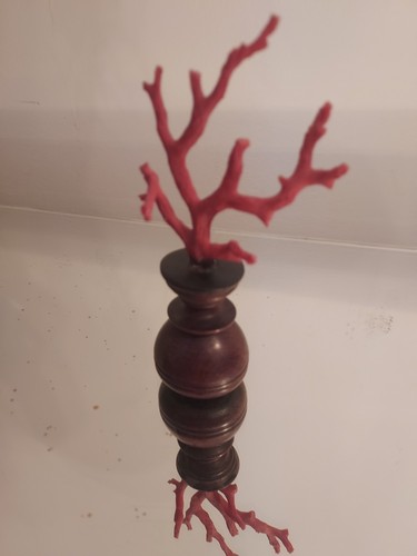 Ancienne branche corail - ancienne, de