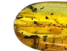 Pendentif Ambre avec Insectes