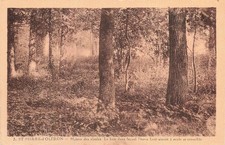 17 ILE D OLERON SAINT PIERRE D