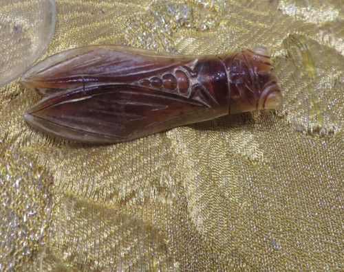 Ancienne grosse broche - ancienne,