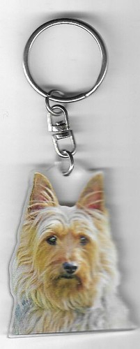 Silky terrier chien porte - silky,