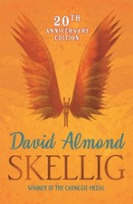 David Almond Skellig (Poche)
